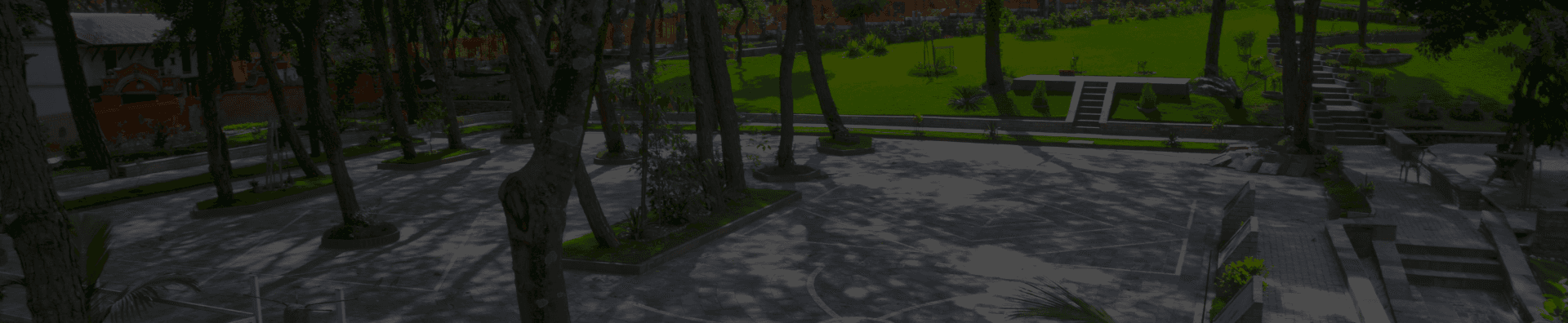 Eiffel Tower at sunrise with soft natural light